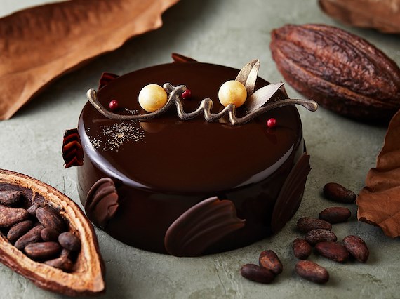 chocolate-cake.jpg